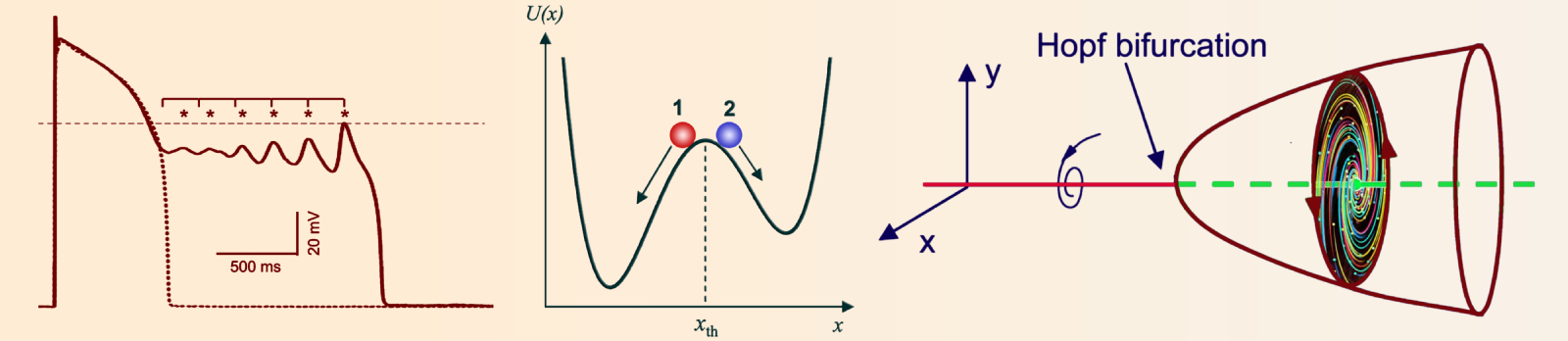 String Time Crystal » Heart Rhythms ~ Hopf Bifurcation in Cardiac Arrhythmias » trio String Time Crystal » Heart Rhythms ~ Hopf Bifurcation in Cardiac Arrhythmias » trio