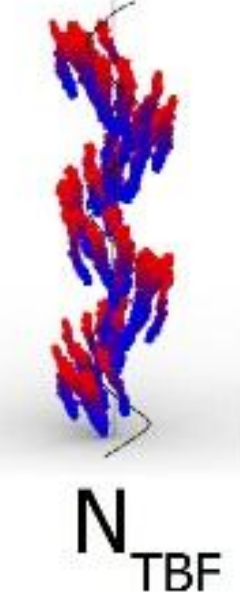 String Time Crystal » Polar and Chiral Symmetry Breaking in Spontaneous Ferroelectric Nematic Phases » heliconical